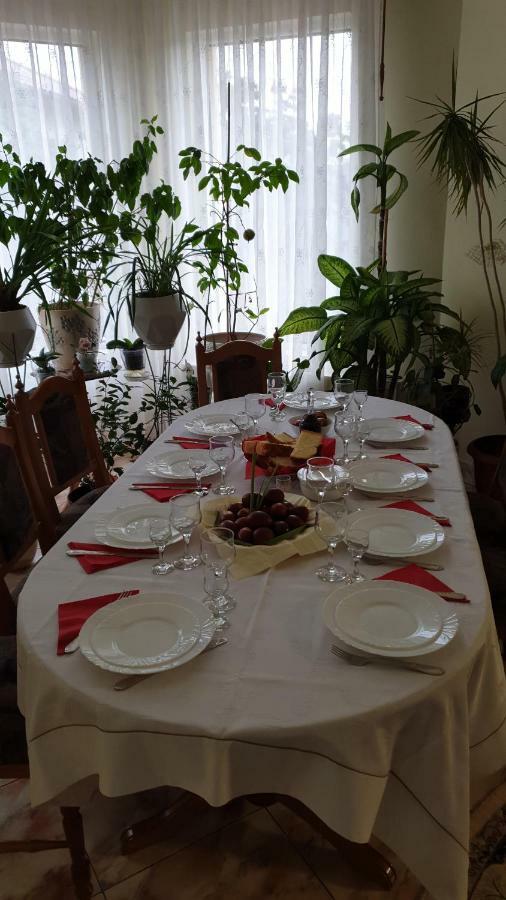 Pensiunea Adi Săpînţa Esterno foto